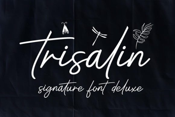 Trisalin: A Designer's Honest Review for Real Projects